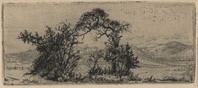 KG 18105
<br/>
Landschap met twee bomen in Zuid-Afrika
<br/>
<em>Nachenius, Jan Coenraad (1890-1987)</em>